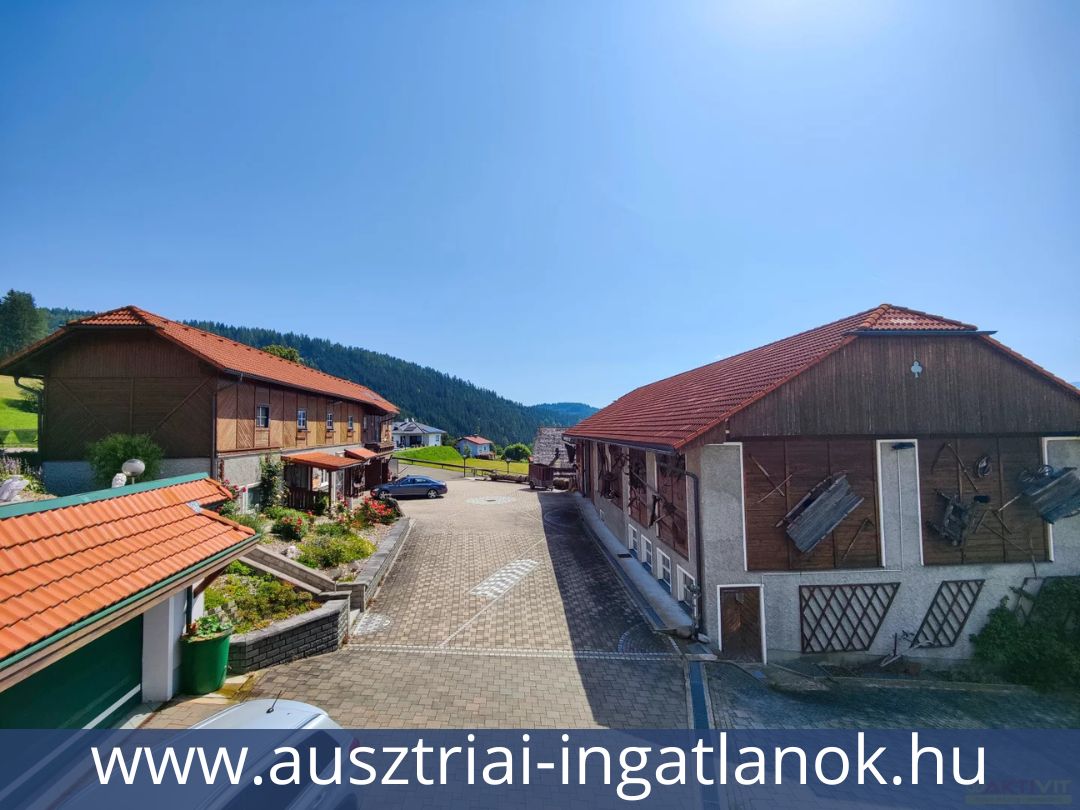 Ausztriai-ingatlanok-13690294-35.jpg
