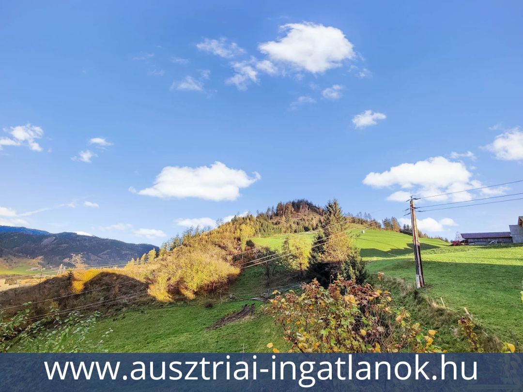 Ausztriai-ingatlanok-14204194-20.jpg