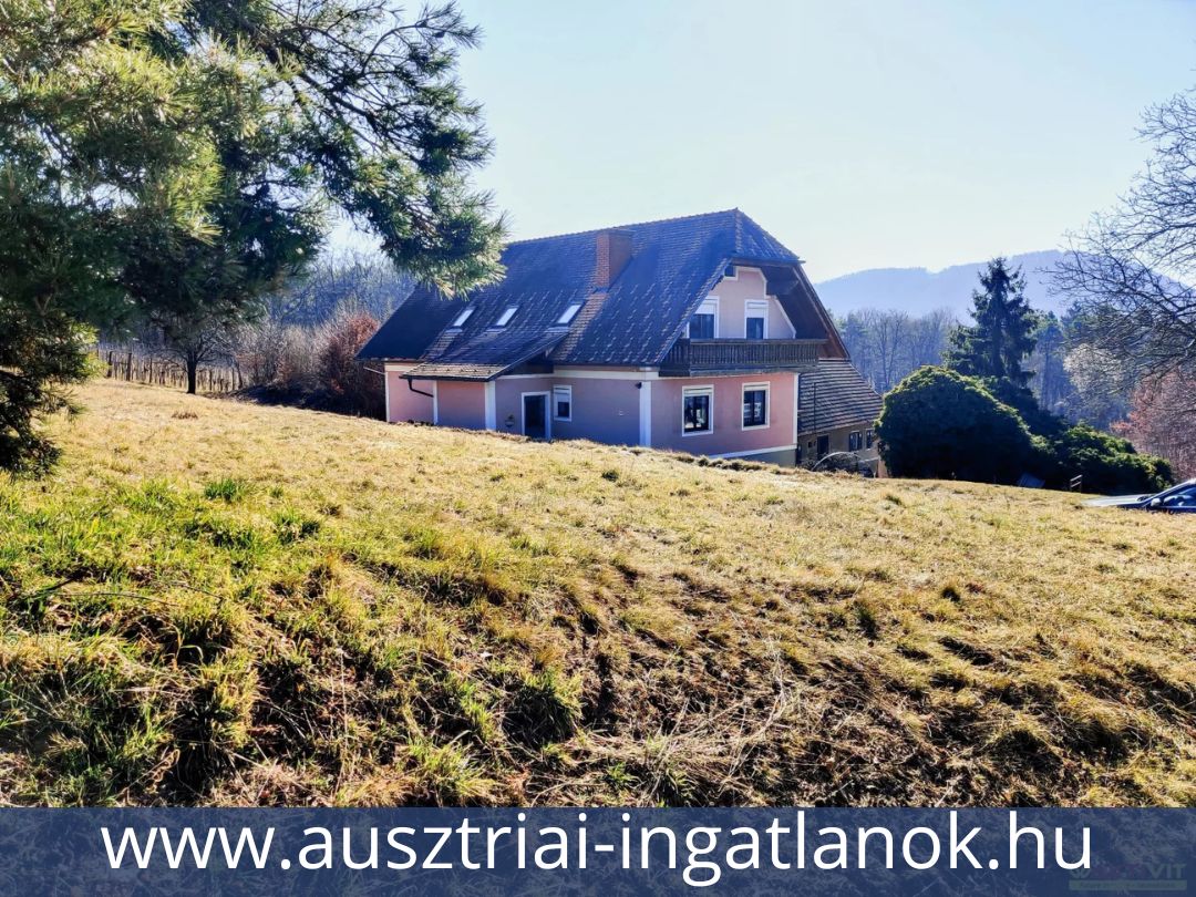 Ausztriai-ingatlanok-9938173-29.jpg