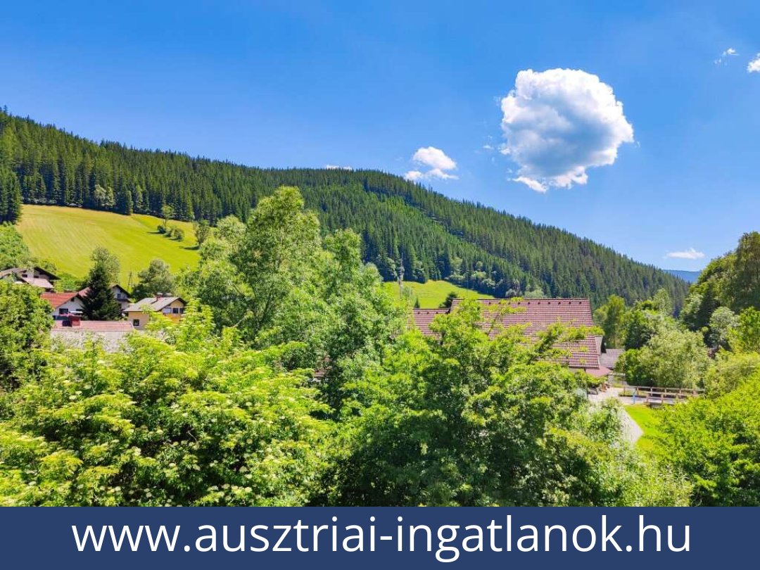 ausztriai-ingatlanok-altenberg-8691-20251203220413-0050401010.jpg