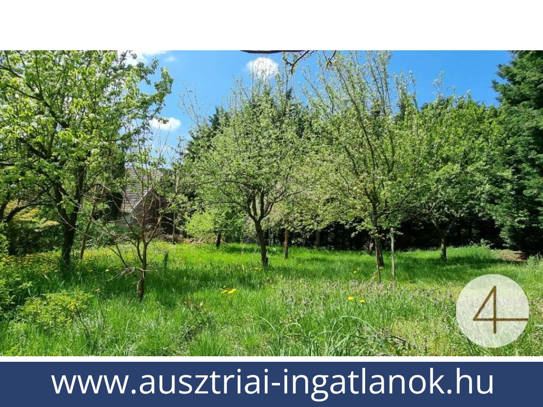 ausztriai-ingatlanok-gopfritzschlag-3822-20250803234900-0028101003.jpg ausztriai-ingatlanok-gopfritzschlag-3822-20250803234900-0028101003.jpg