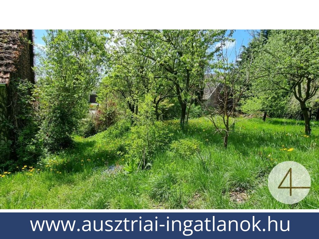 ausztriai-ingatlanok-gopfritzschlag-3822-20250803234900-0028101004.jpg ausztriai-ingatlanok-gopfritzschlag-3822-20250803234900-0028101004.jpg