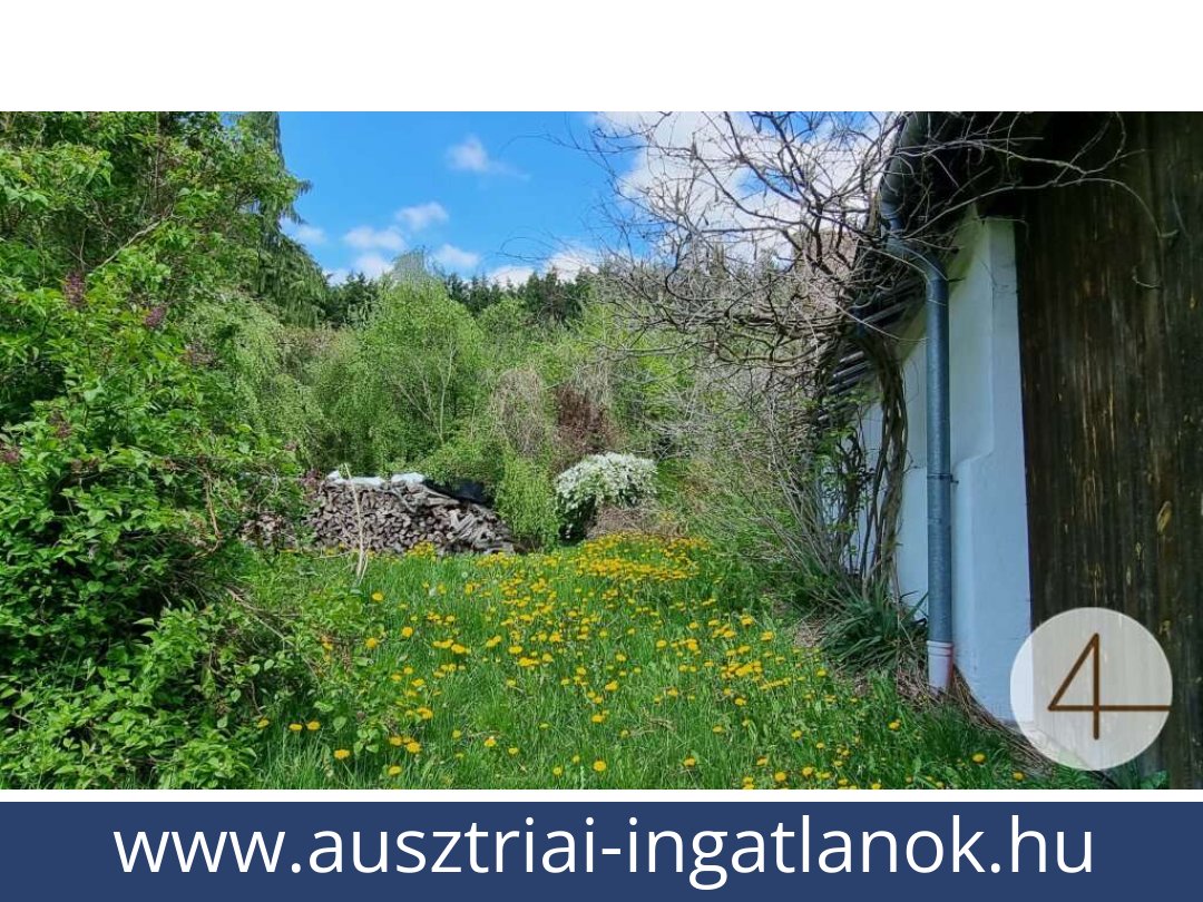 ausztriai-ingatlanok-gopfritzschlag-3822-20250803234900-0028101029.jpg ausztriai-ingatlanok-gopfritzschlag-3822-20250803234900-0028101029.jpg