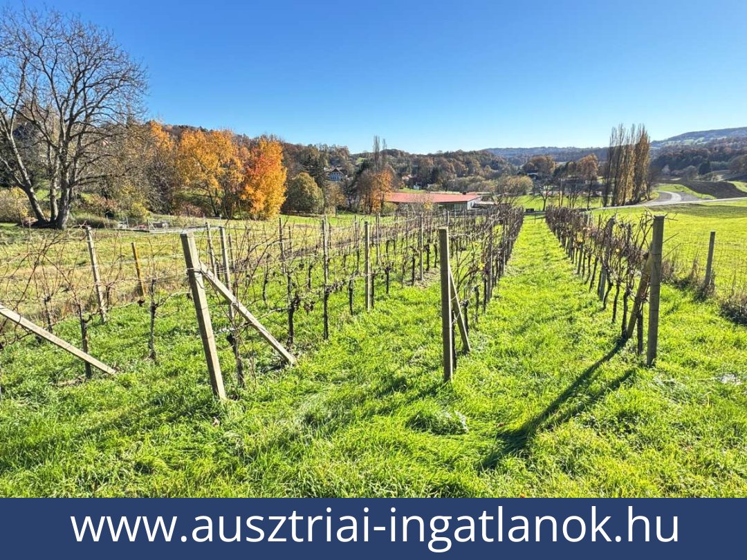 ausztriai-ingatlanok-kapfenstein-8353-20251130222735-0046301023.jpg ausztriai-ingatlanok-kapfenstein-8353-20251130222735-0046301023.jpg