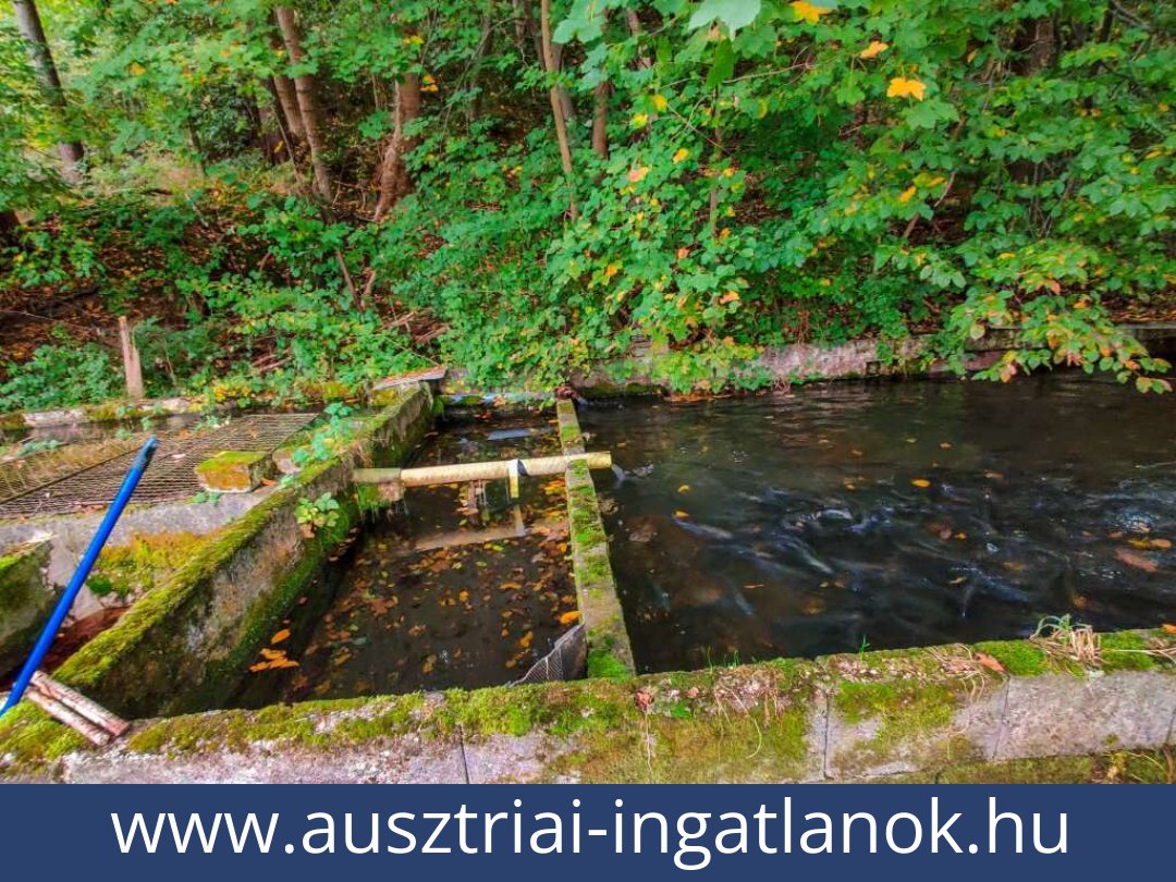 ausztriai-ingatlanok-lambach-4650-20250803215727-0025301023.jpg ausztriai-ingatlanok-lambach-4650-20250803215727-0025301023.jpg