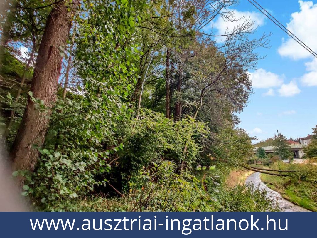 ausztriai-ingatlanok-lambach-4650-20250803215727-0025301027.jpg ausztriai-ingatlanok-lambach-4650-20250803215727-0025301027.jpg