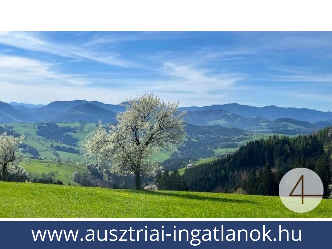 ausztriai-ingatlanok-perwarth-3263-20250804082435-0028201003.jpg