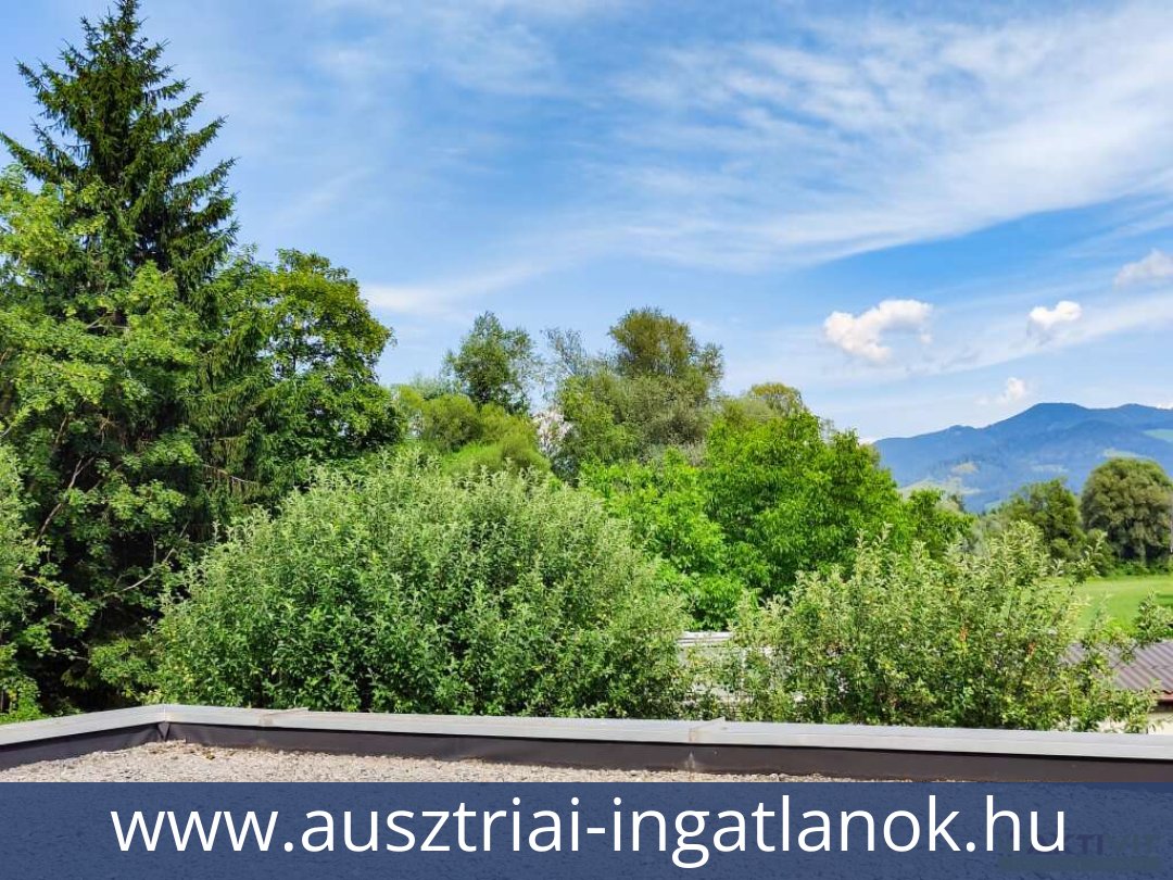 ausztriai-ingatlanok-zeltweg-8740-20250720223819-0021401040.jpg
