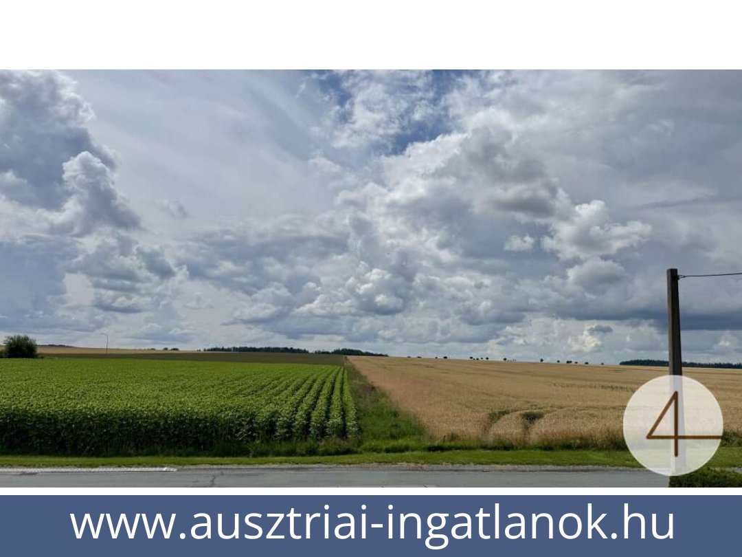 ausztriai-ingatlanok-zissersdorf-2094-20250718112214-0021301016.jpg ausztriai-ingatlanok-zissersdorf-2094-20250718112214-0021301016.jpg