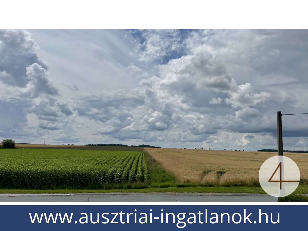 ausztriai-ingatlanok-zissersdorf-2094-20260118015011-0060401015.jpg ausztriai-ingatlanok-zissersdorf-2094-20260118015011-0060401015.jpg